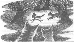 Забытый Воин - pic_36.jpg