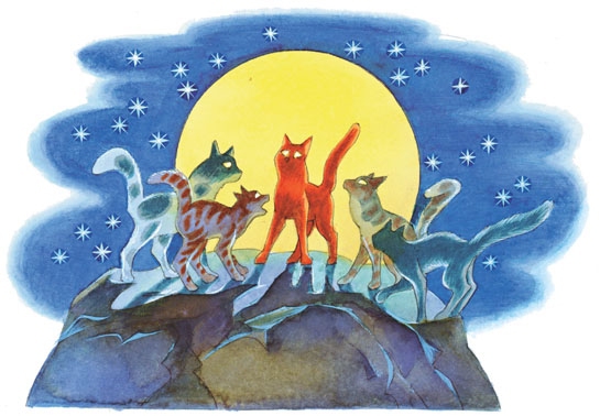 Закон племен - pic_3.jpg