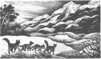 Знамение Луны - pic_22.jpg