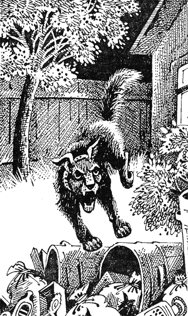 Медвежье озеро - image06.png