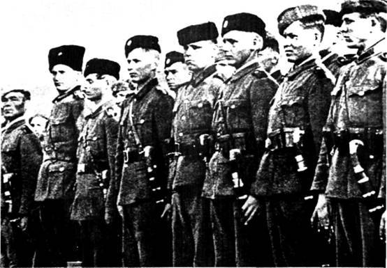 Иностранные добровольцы в вермахте. 1941-1945 - any2fbimgloader17.jpeg