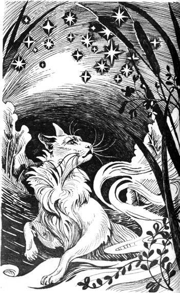 Нерассказанные истории: История Остролистой - pic_10.jpg