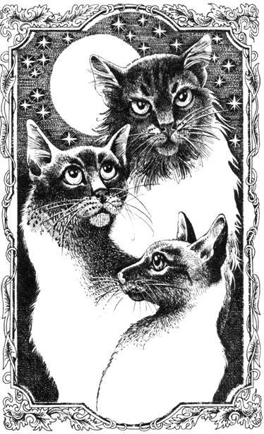 Нерассказанные истории: История Остролистой - pic_2.jpg