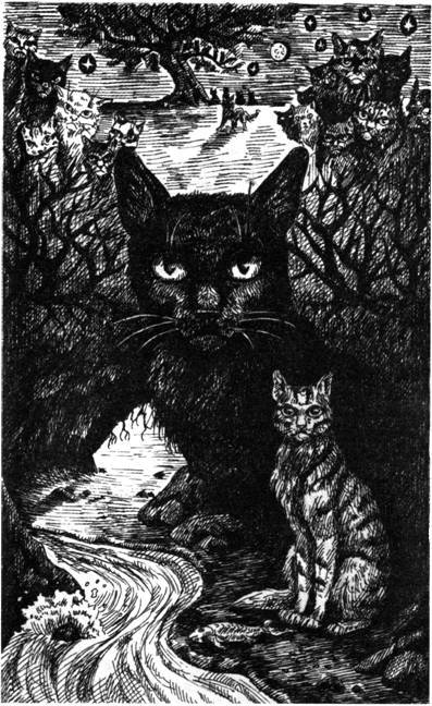 Нерассказанные истории: История Остролистой - pic_4.jpg