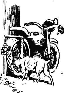 Страшная месть - doc2fb_image_03000001.png