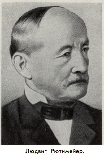 Владимир Ковалевский - kovale25.jpg