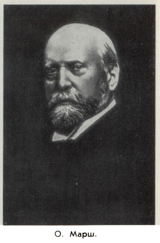 Владимир Ковалевский - kovale42.jpg