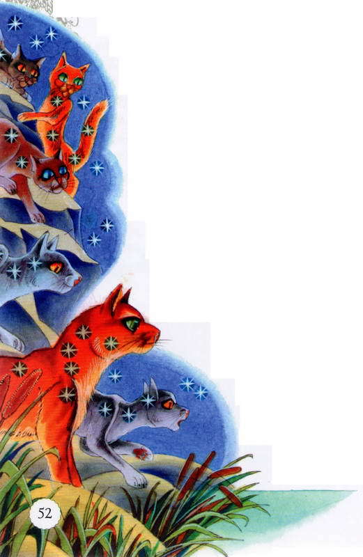 Память племен. Путеводитель по серии «Коты-воители» - pic_27.jpg