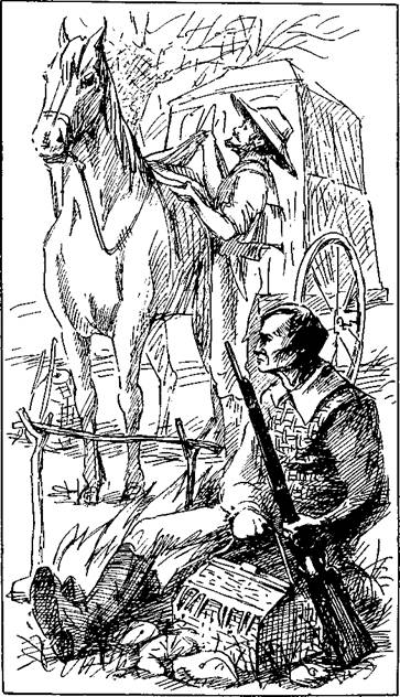 Фланкер - any2fbimgloader1.jpeg