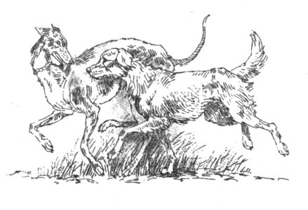 Пустой город - pic001.jpg