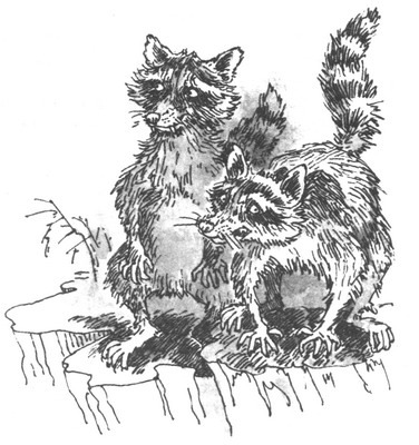 Пустой город - pic035.jpg