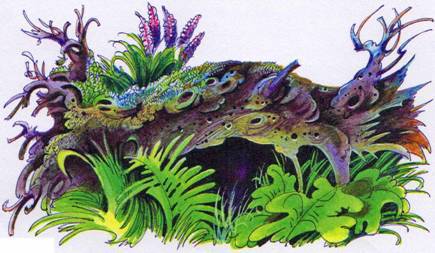 Секреты Племен - pic_42.jpg