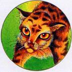 Секреты Племен - pic_112.jpg