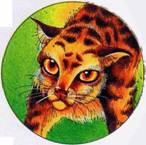 Секреты Племен - pic_134.jpg