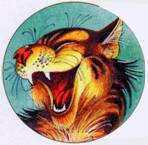 Секреты Племен - pic_158.jpg