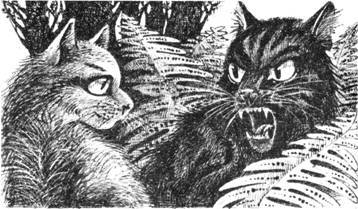 Тайна Щербатой. Наказание - pic_12.jpg