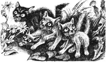 Тайна Щербатой. Наказание - pic_18.jpg