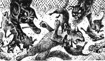 Тайна Щербатой. Наказание - pic_30.jpg