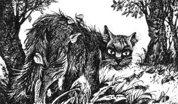 Тайна Щербатой. Наказание - pic_44.jpg