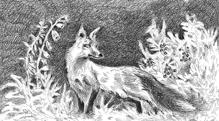 Бесшабашный (Камень во плоти) (др. перевод) - i_012.jpg