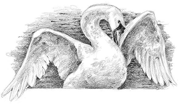 Живые тени - i_010.jpg