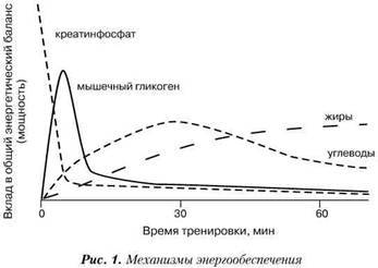 Фармакологическая помощь спортсмену: коррекция факторов, лимитирующих спортивный результат - any2fbimgloader0.jpeg