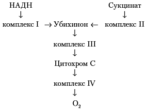 Фармакологическая помощь спортсмену: коррекция факторов, лимитирующих спортивный результат - nadn.png