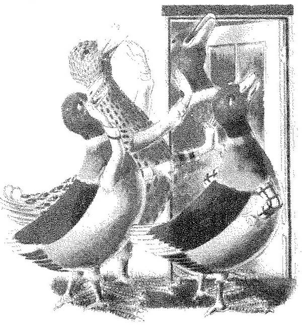 Волшебный палец - pic_10.jpg