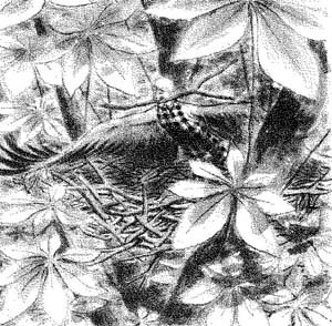 Волшебный палец - pic_13.jpg