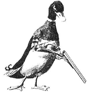 Волшебный палец - pic_15.jpg