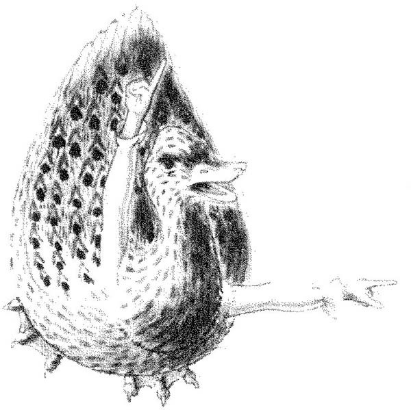 Волшебный палец - pic_18.jpg