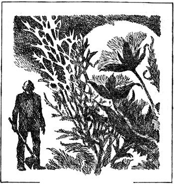 Крик дерева - i_001.jpg