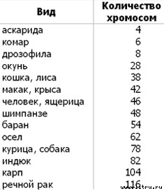 Православное мировоззрение и современное естествознание - table2.jpg