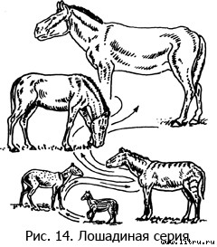 Православное мировоззрение и современное естествознание - fig.14.jpg