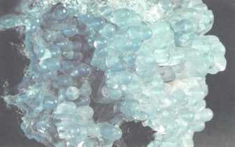 Приоткрой малахитовую шкатулку - Halc.jpg