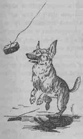 Нена - i_007.jpg