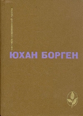 Темные источники (Трилогия о маленьком лорде - 2) - автор Борген Юхан 