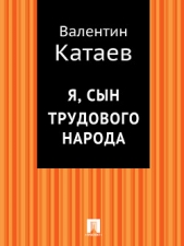 Я, сын трудового народа - автор Катаев Валентин Петрович 