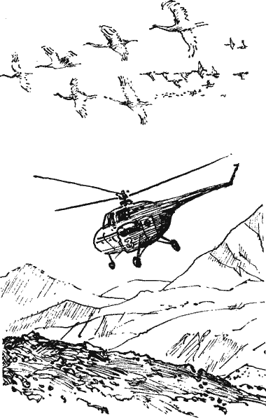 Тысяча дорог - Novos113.png