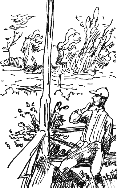 Митрохин - Novos154.png