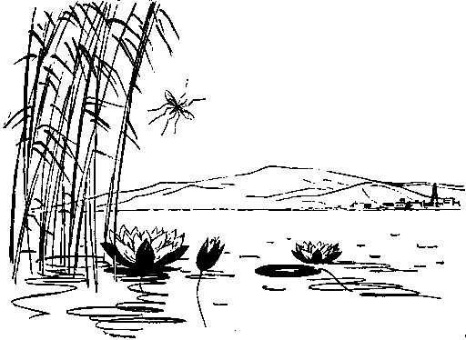 Их было четверо - i_014.png