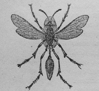 Этюды о природе человека - i_007.jpg