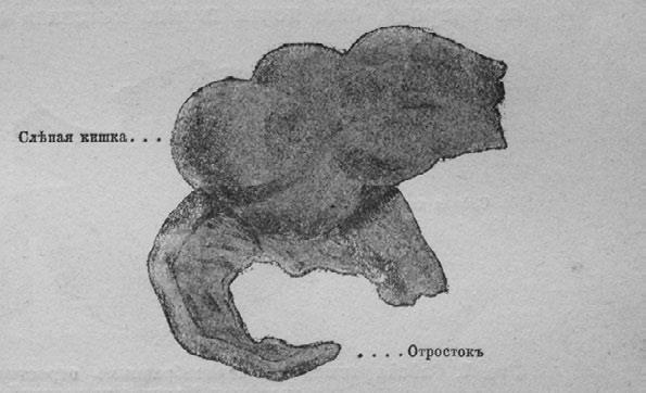 Этюды о природе человека - i_008.jpg