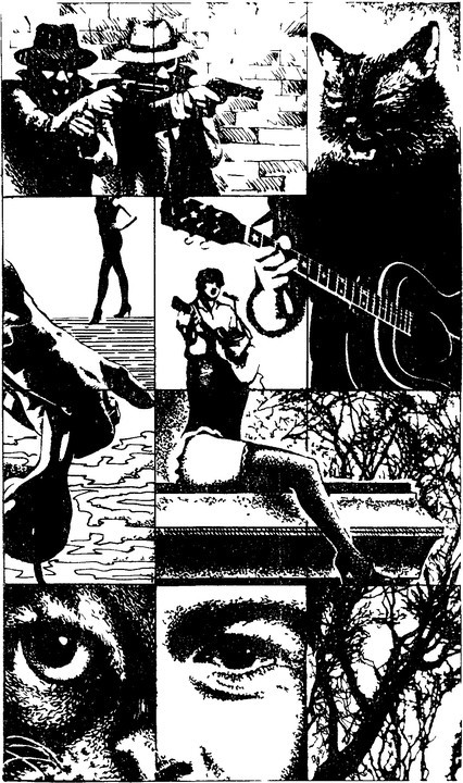 Частный детектив. Выпуск 5 - image014.jpg