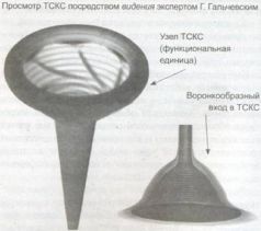 Книга Живы - pic_2.jpg