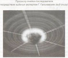 Книга Живы - pic_9.jpg