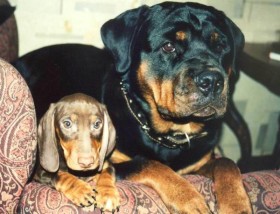 Алиска - storyaliska.jpg_0