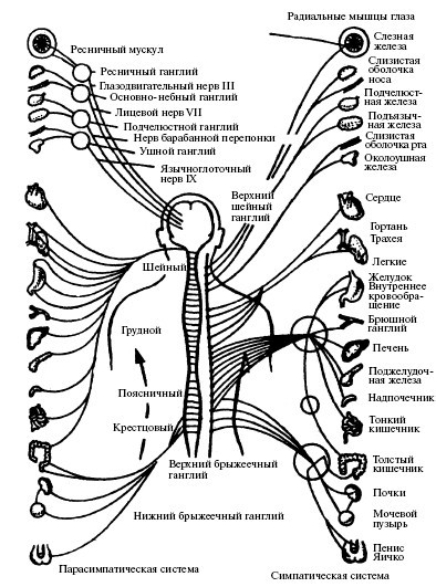 Уроки Норбекова - i_001.jpg