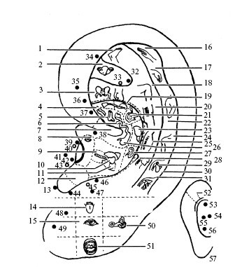 Уроки Норбекова - i_005.jpg