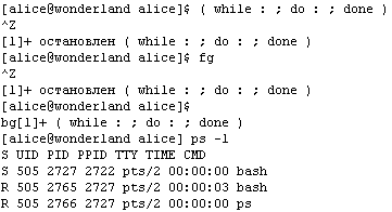 Свободные программы и системы в школе - _1_50.png